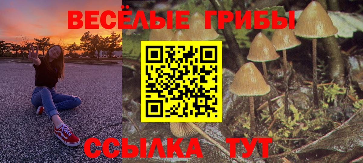 Галлюциногенные грибы мицелий Пушкино