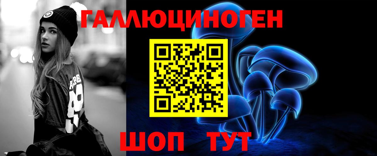 Псилоцибиновые грибы мицелий  Галлюциногенные грибы ЛСД  Пушкино  купить закладку  Вход с VPN 